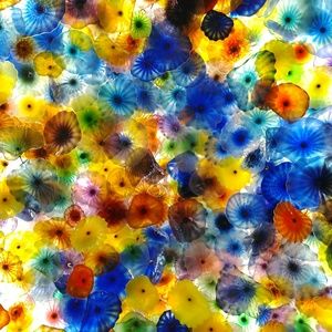 Meet your Posher, Soumya